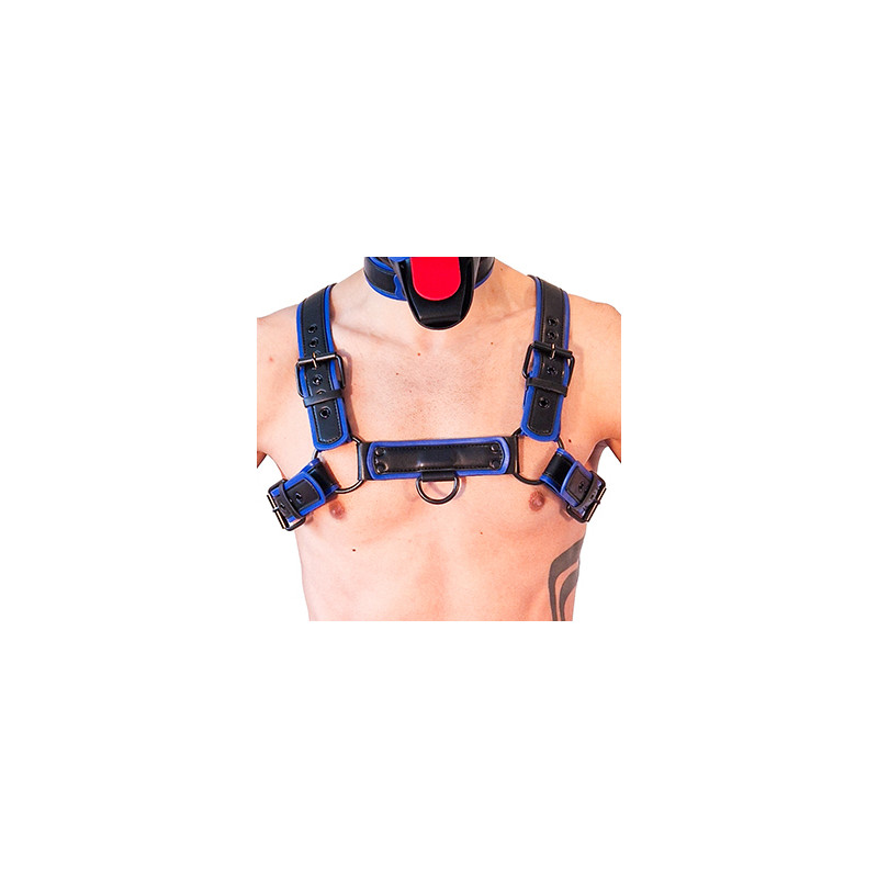 Brutus Harnais Puppy Harness Noir-Bleu